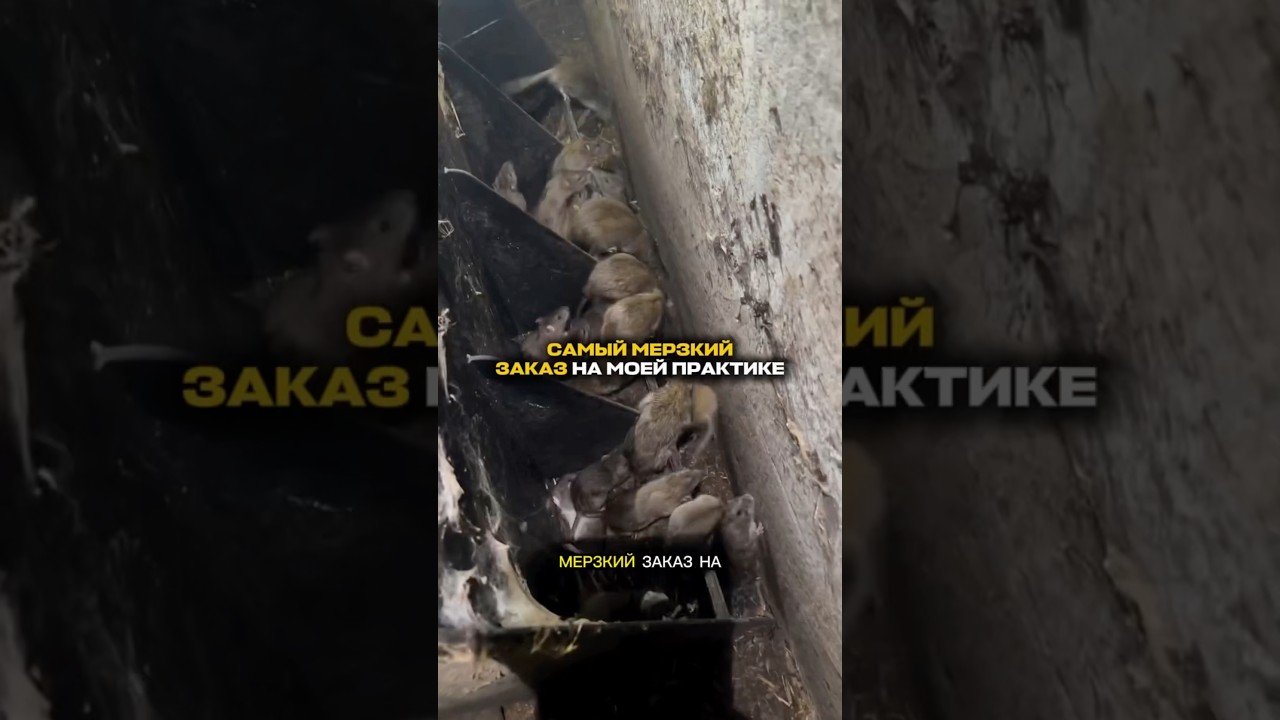 АРТИКУЛ HA WB:СРЕДСТВО 2 В 1АНТИЖИР + ОТБЕЛИВАТЕЛЬWW333134