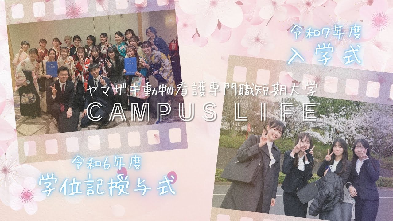 【#愛玩動物看護師】ヤマザキ動物看護専門職短期大学　令和6年度学位記授与式＆令和7年度入学式 #動物看護 #グルーミング #ドッグトレーニング