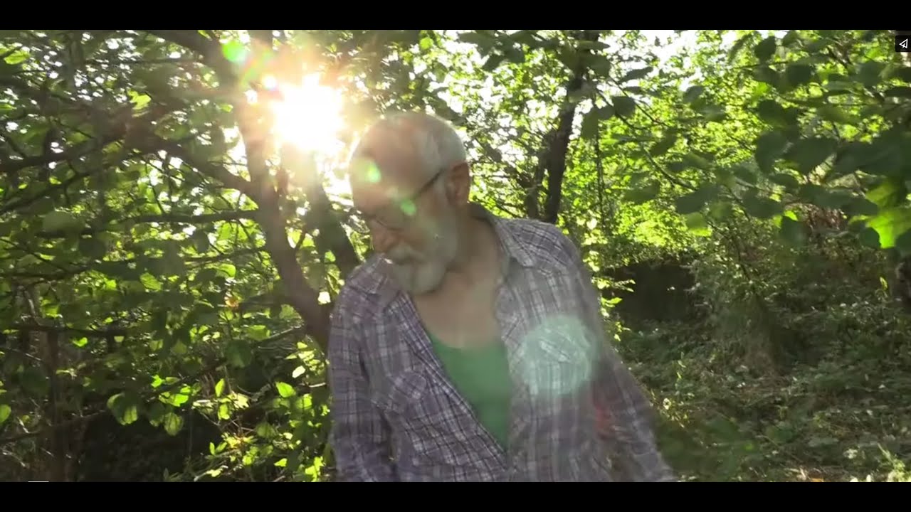 hanno sfrattato l'eremita (chi sia stato non si sa)