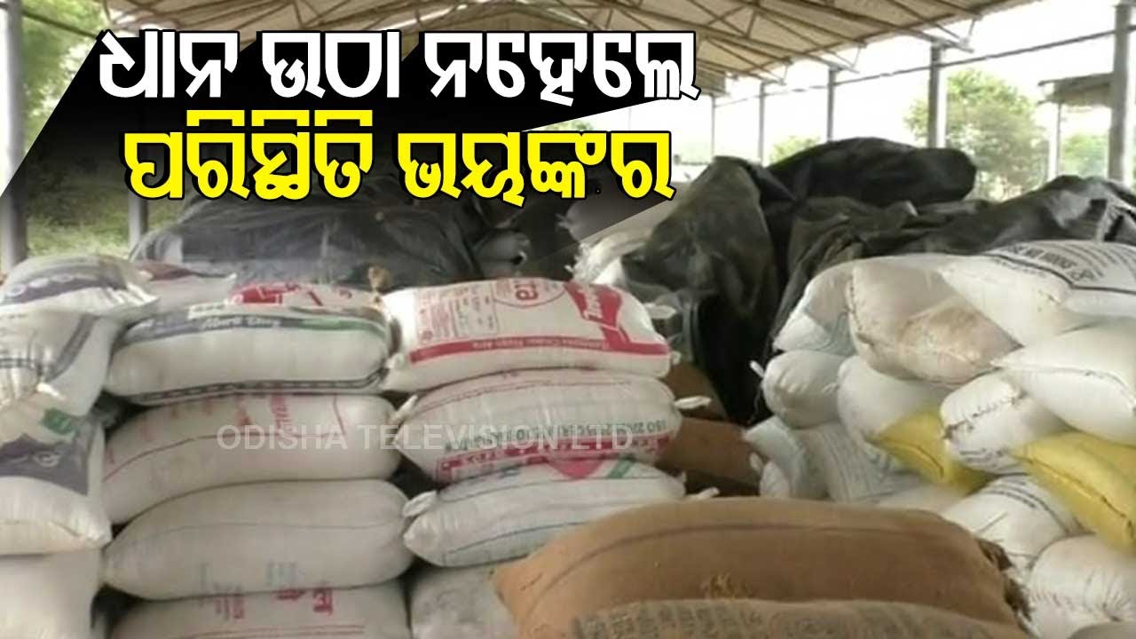 Mandi Issues Hit Farmers Hard Amid Paddy Procurement Season