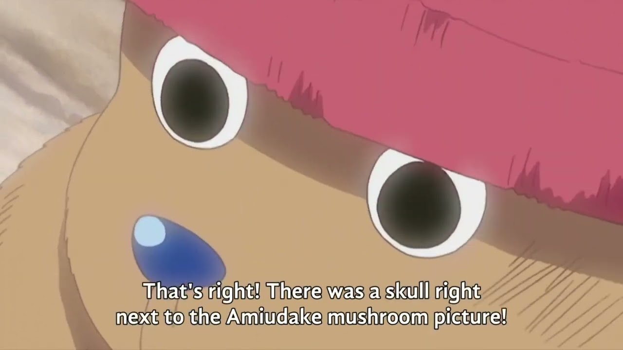 chopper tells kureha is a liar