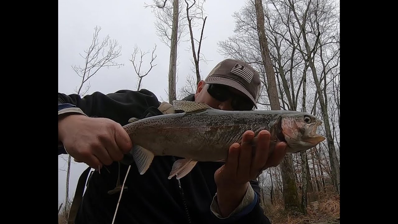 Trout fishing Hatchery Creek at Wolf Creek Dam below Lake Cumberland Kentucky