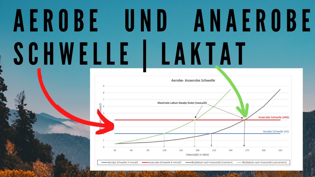 Aerobe und Anaerobe Schwelle | Laktat steady state | IAS, IANS einfach erkl&auml;rt!