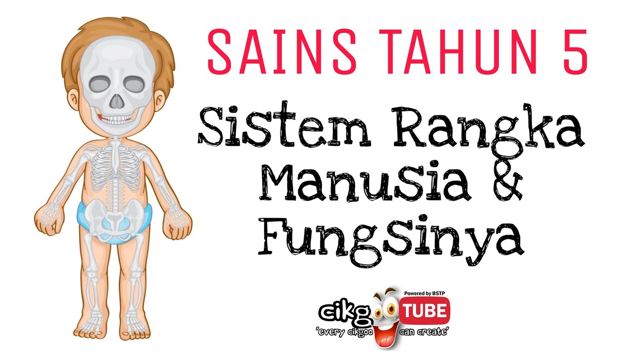 SISTEM RANGKA MANUSIA (Sains Tahun 5 Unit 2) KSSR 2021