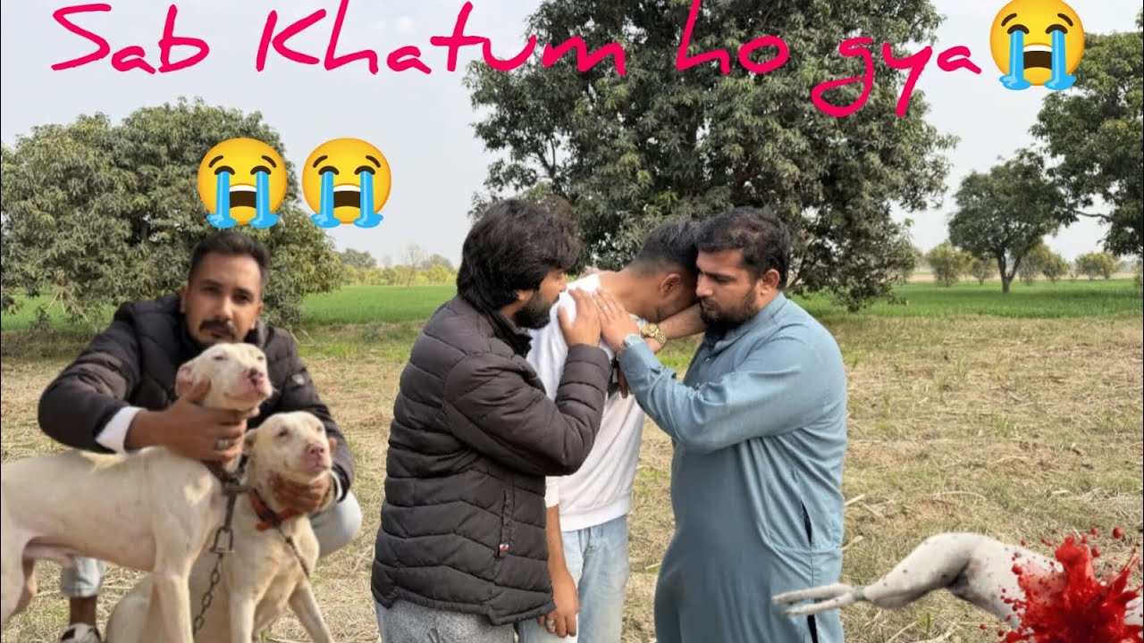 Sab Khatum ho gya 😭 Dog mar gya😭😭