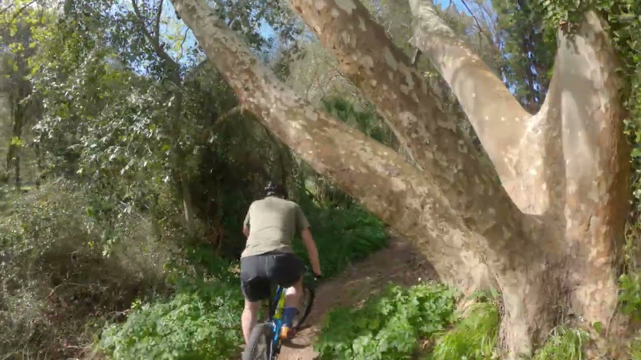 Mallorca 2023 Tag 4 - Regeneration mit dem E-MTB