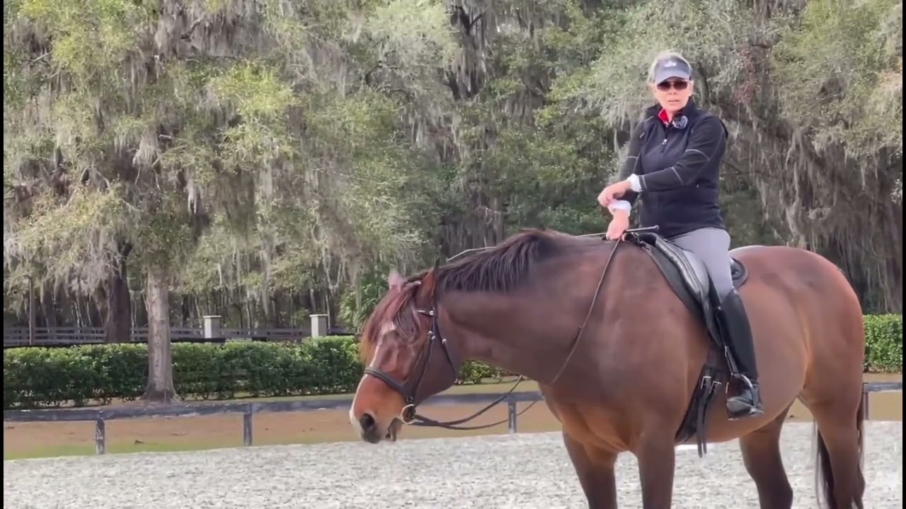 Linda Parelli - Advancing riding