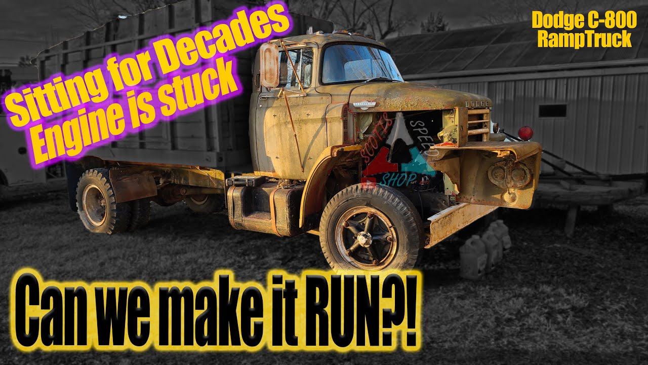 1961 Dodge C800 Truck Ending its 20+Year Hibernation WILL IT RUN? #willitrun #sitting #revival