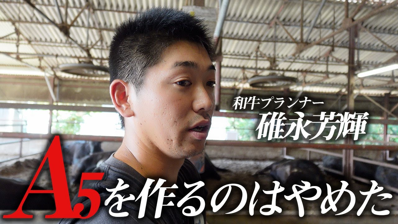 【うすなが牧場】A5ランクを目指すのはやめた。畜産農家のリアルな話【神戸牛】