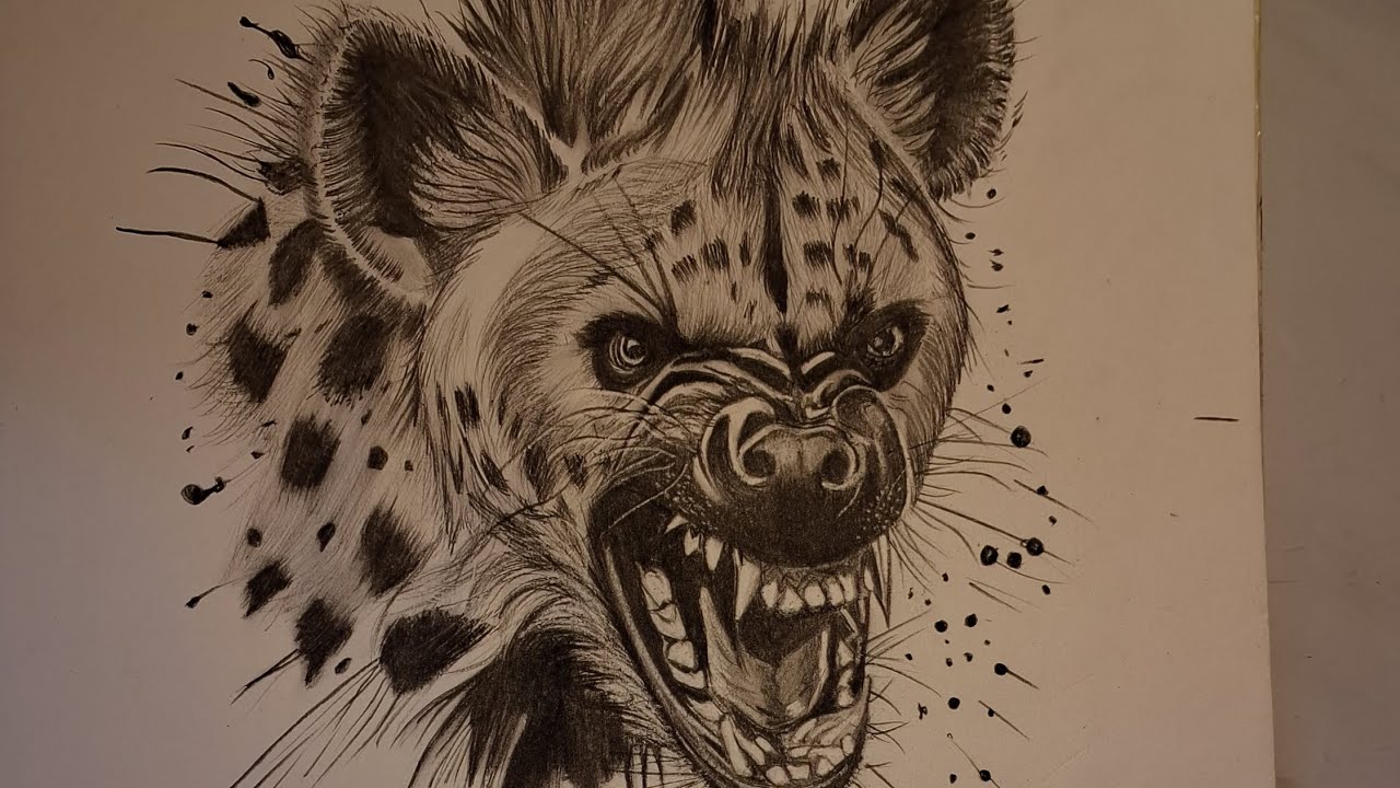 How to draw a realistic hyena face sketch ✍️  #khushal Art Gallery 🎨