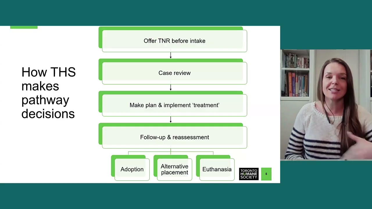 Maddie's Insights: Using Research for Decisions on Working Cat Placements - 21226 webcast