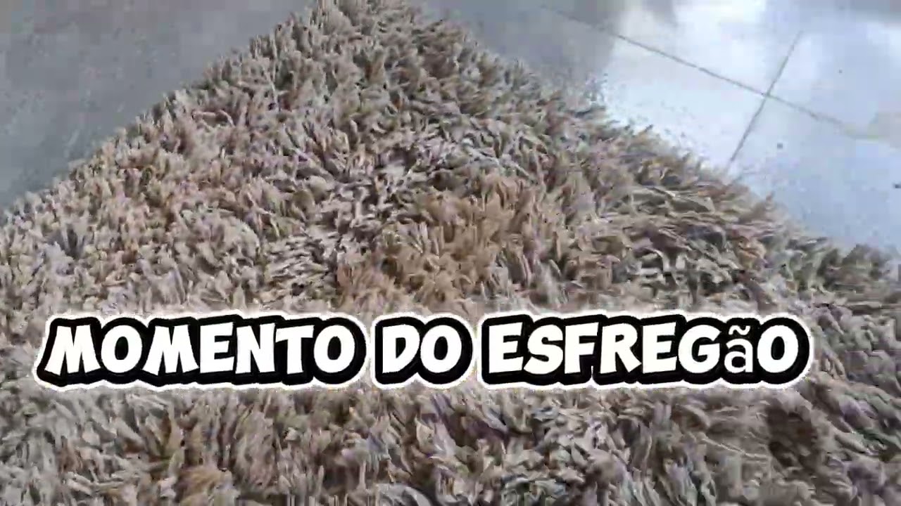 Limpeza de tapete