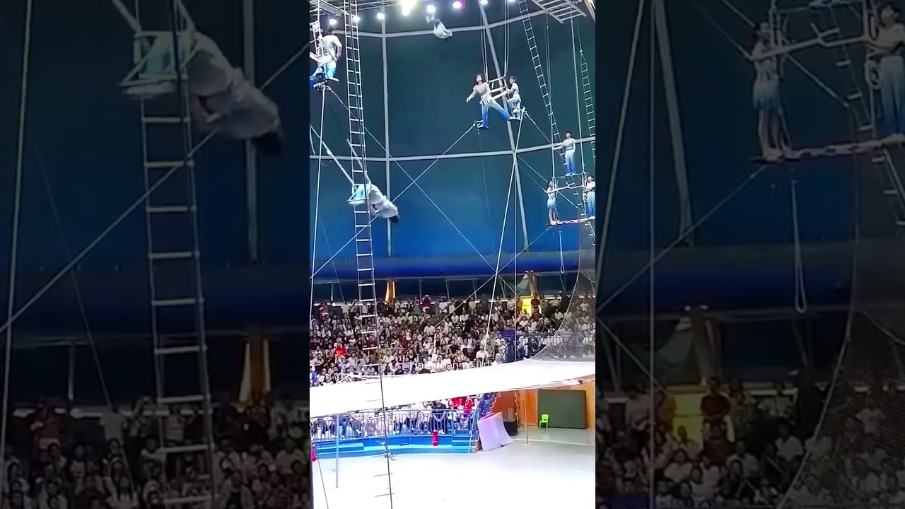 Circus hi circus.. 