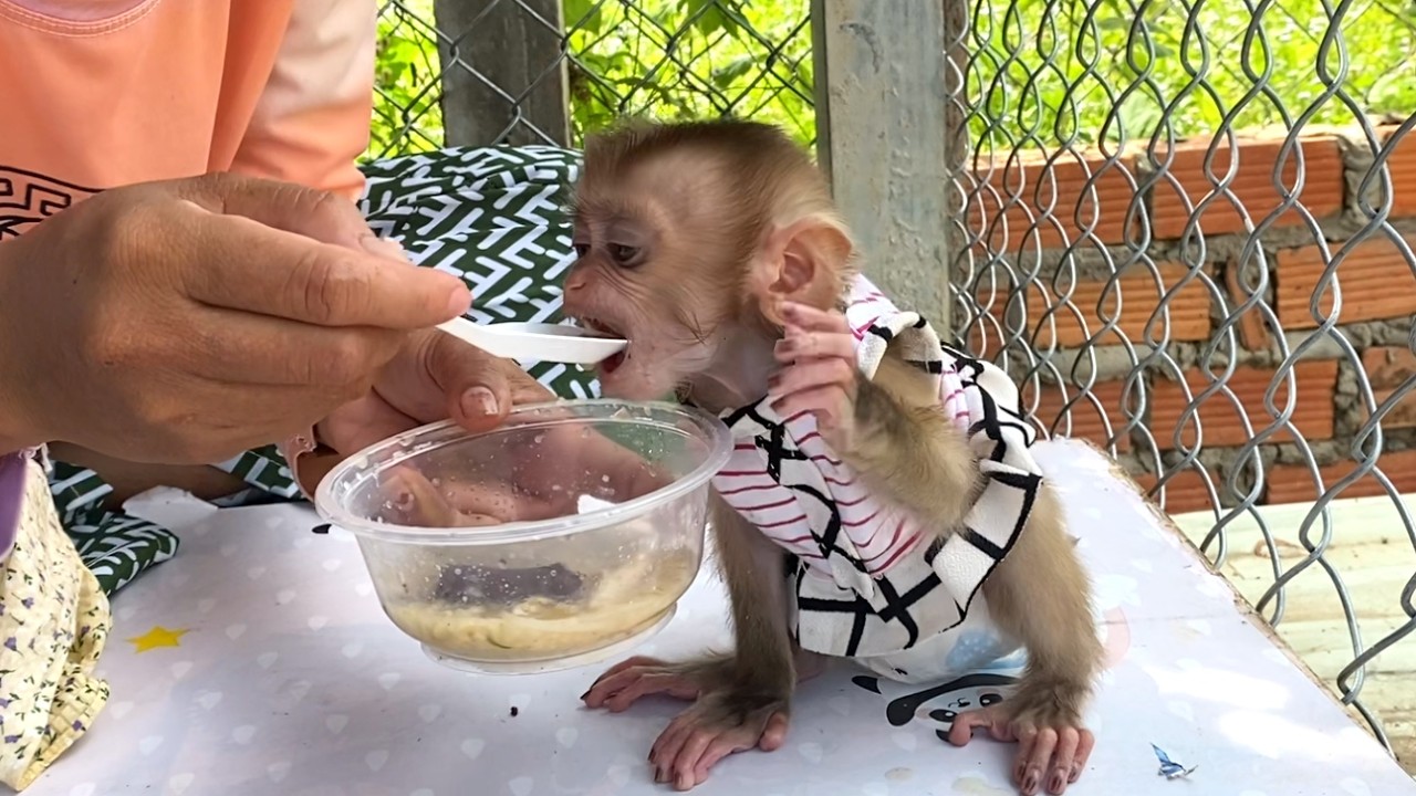 So delicious!! Little LIORA Likes to eat porridge and she eats a lot of it
