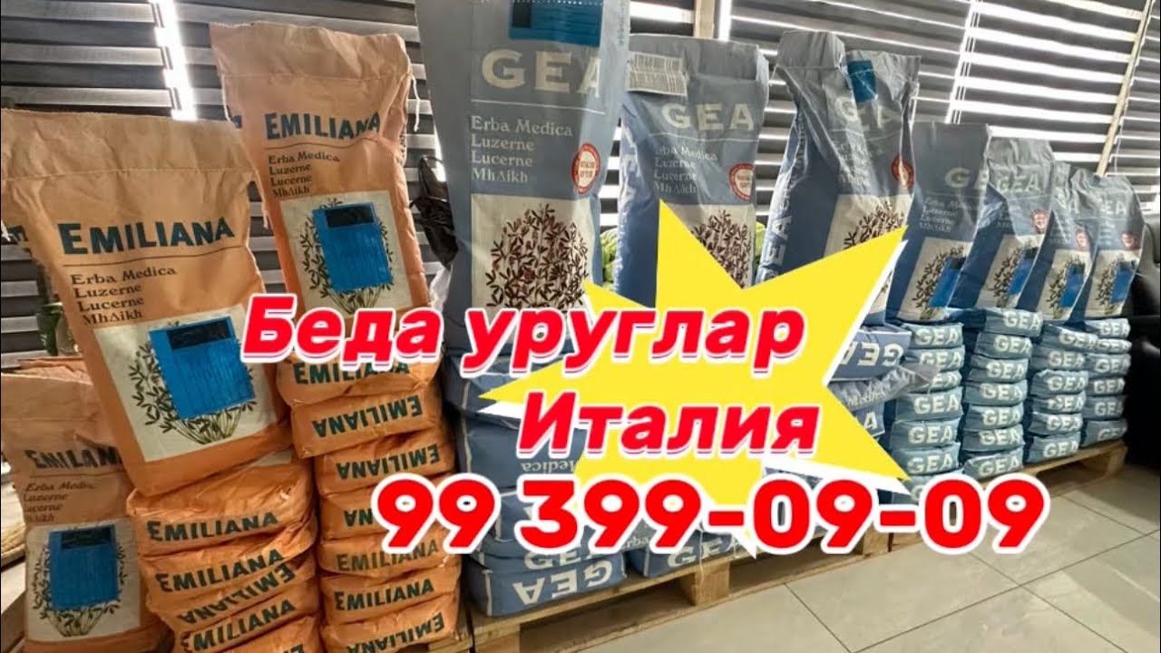 Беда уруглари  емеляно 2026-йил