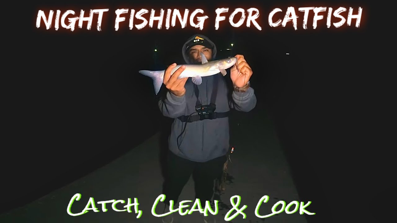 Night Fishing For CATFISH & Catch, Clean, Cook !!!!