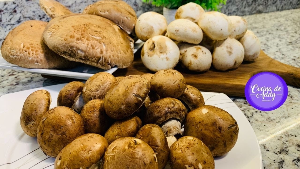 CÓMO LIMPIAR Y CONSERVAR Champiñones, Setas y Hongos. Proteína Vegetal p/la Salud  | Cocina de Addy