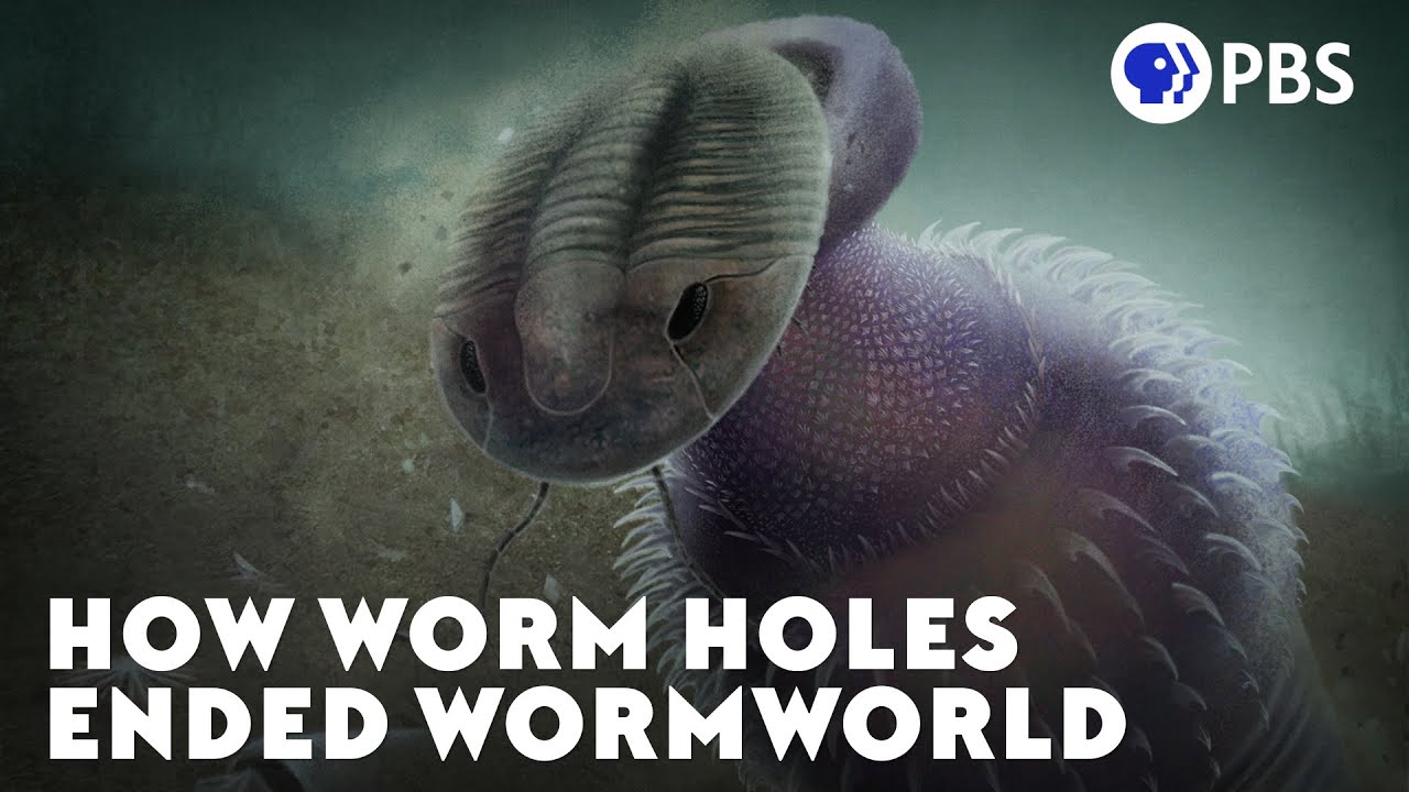 How Worm Holes Ended Wormworld