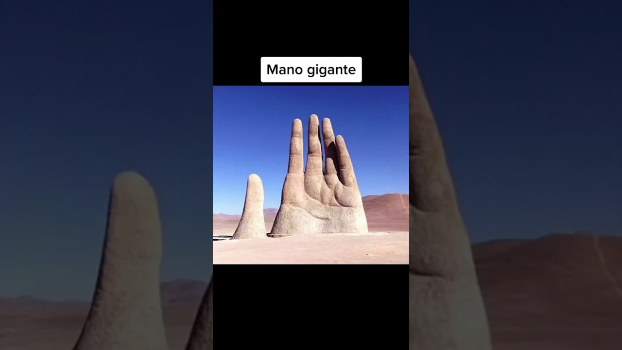 LE COSE PIU&rsquo; STRANE TROVATE NEL DESERTO!! #cosechenonsai #curiosit&agrave;