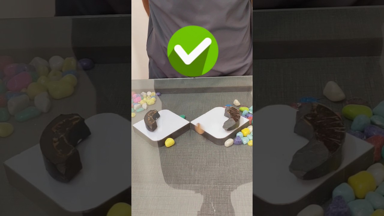 Magnet Vs Coins Moving Experiment 😯 #shorts #experiment #science