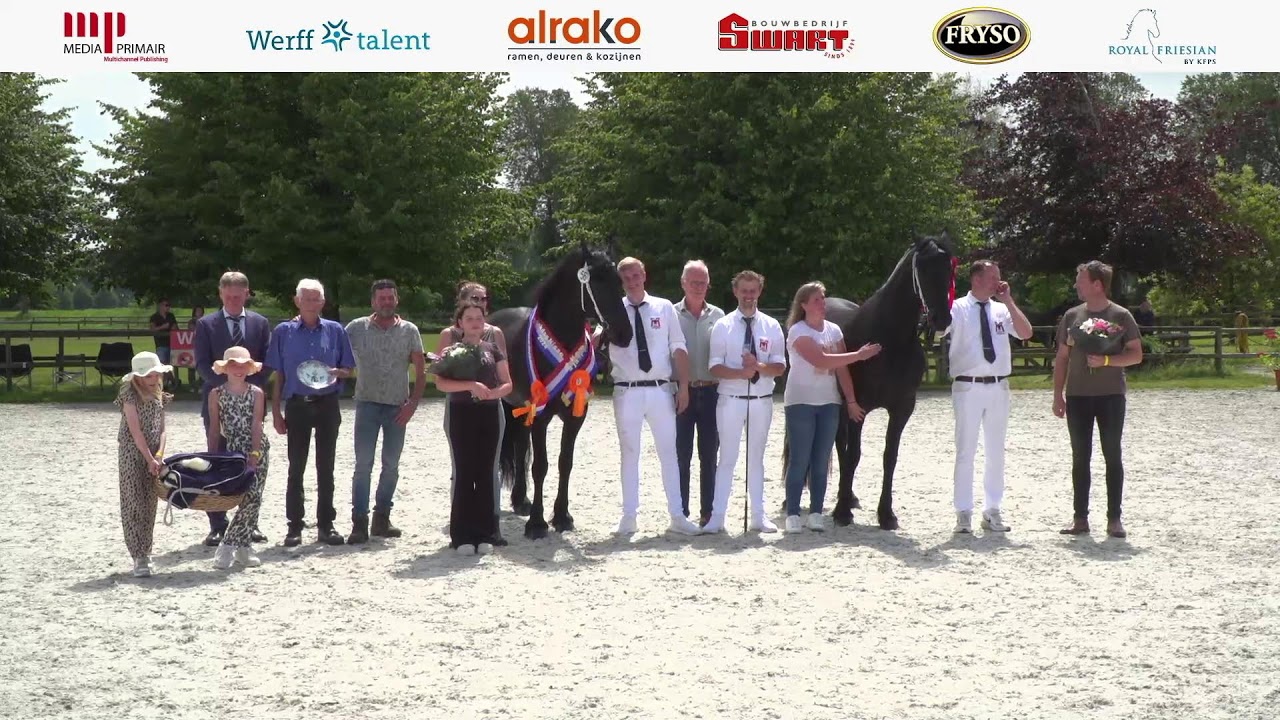 Fokdag |  Fokvereniging Het Friesche Paard Zuid-Nederland | 29 Juni 2024