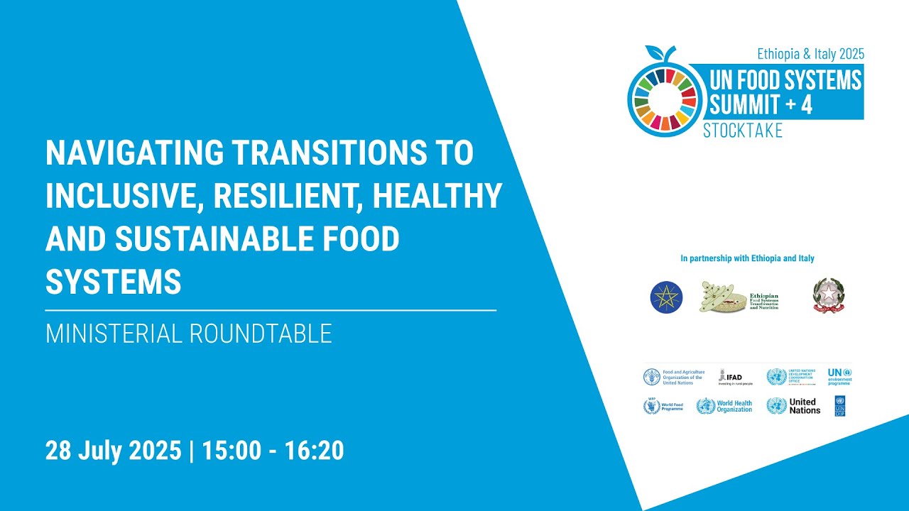 UNFSS+4: Navigating transitions to inclusive, resilient, healthy and sustainable food systems