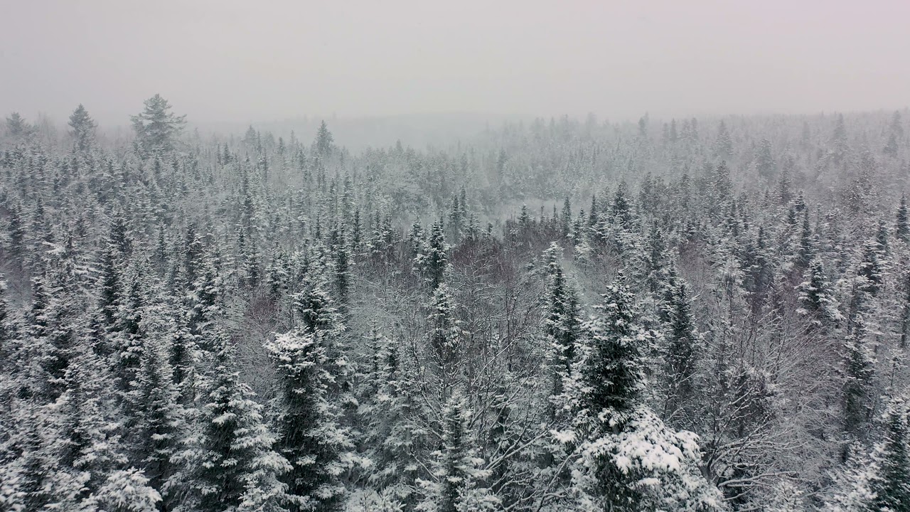 4k aerial drone footage while its snowing in the forests of Whiting Maine..