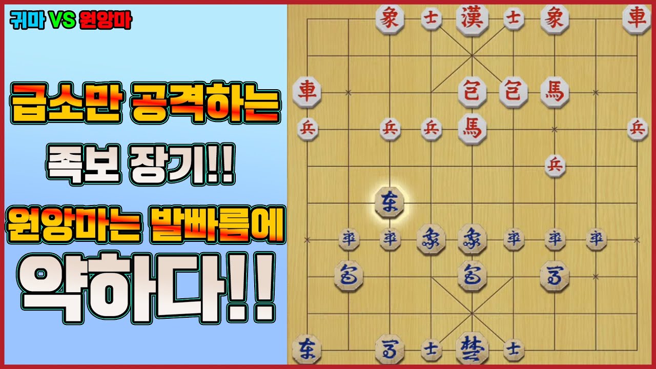 [단장기 마스터] 급소만 공격하는 족보 장기!!  원앙마는 발빠름에 약하다!!
