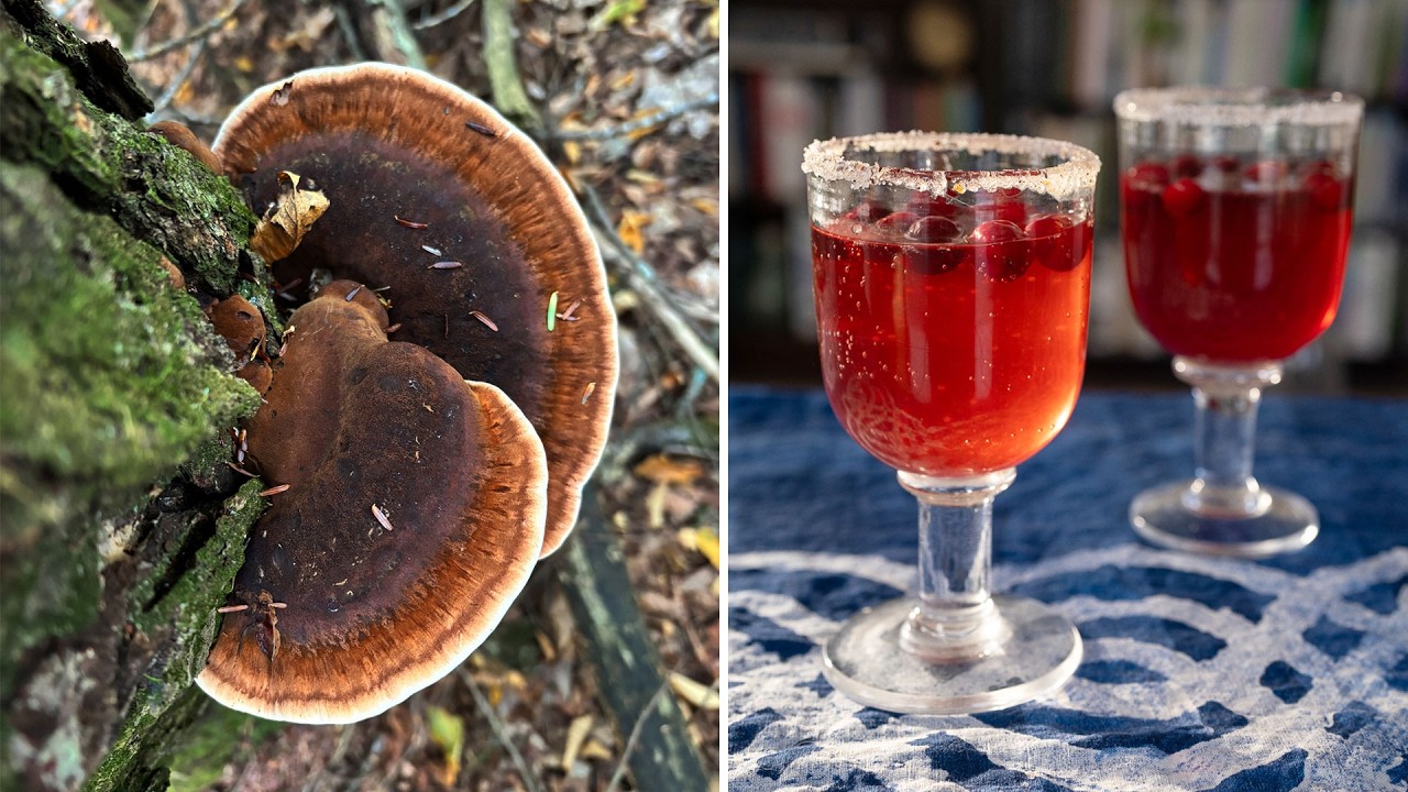 How do you turn this mushroom into an Ischnoderma Spritz?