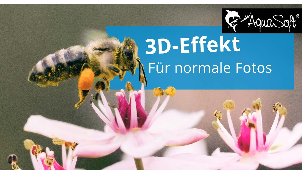 Anleitung | Cooler 3D-Effekt für normale Fotos 🤩📷 (Stages 11)
