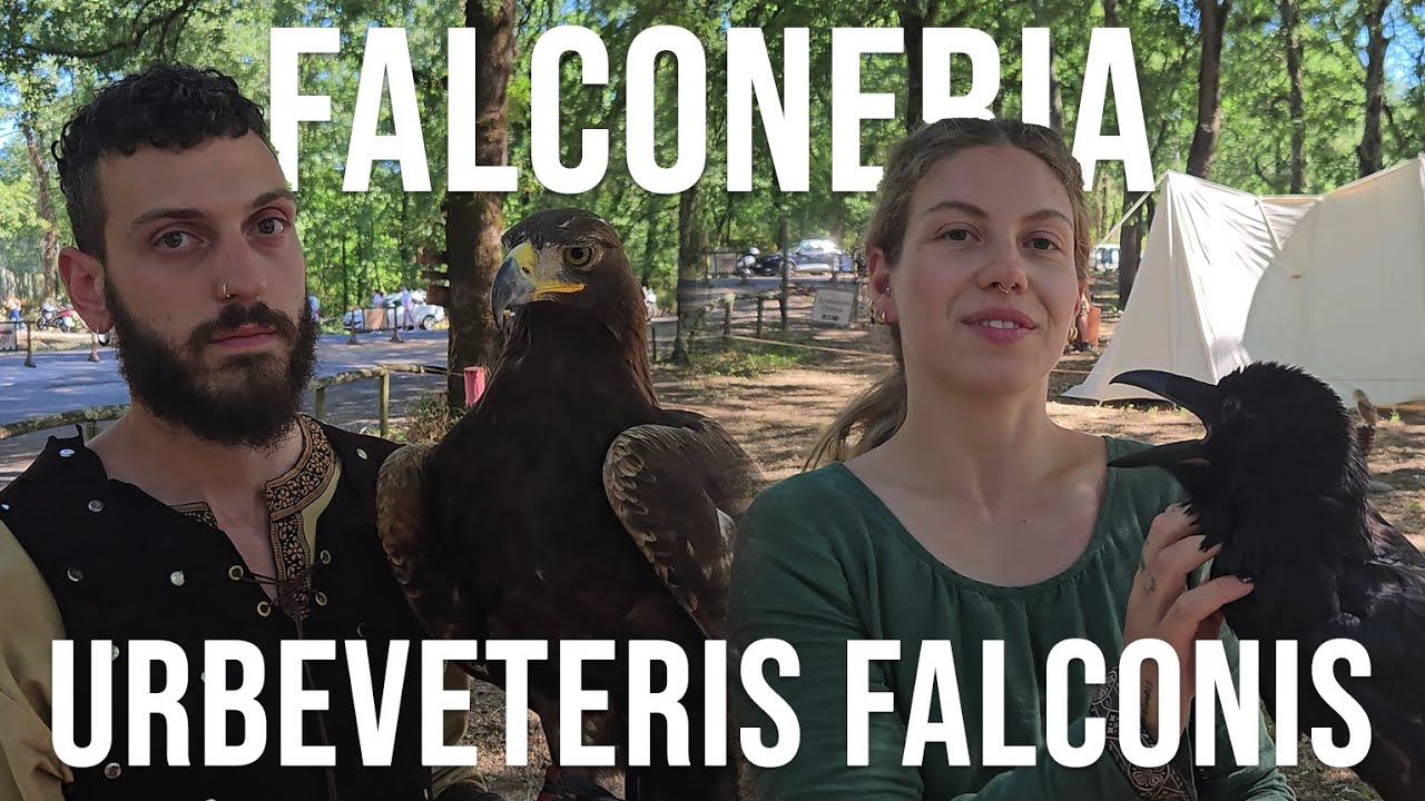FALCONERIA: Quello che NON SAPEVI! -  Intervista a URBEVETERIS FALCONIS