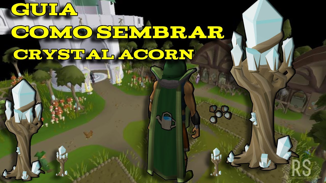 CRYSTAL ACORN, COMO SEMBRARLAS EN FRIFDDINAS 2023 @AlexOSRS