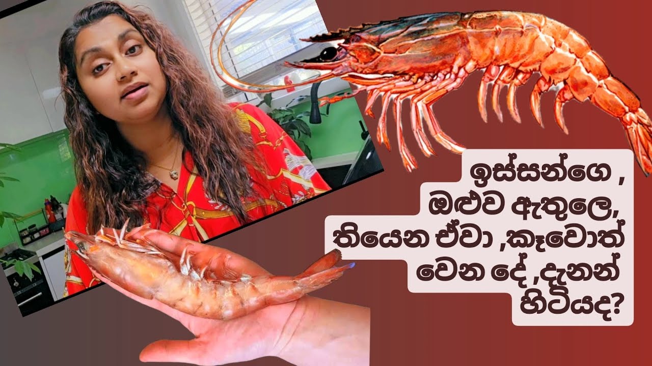 ඉස්සෝ ගැන හැමදේම දැනගන්න වගේම, සුද්ද කරන්න පුලුවන් ක්‍රම ගොඩක් දැනගන්න.