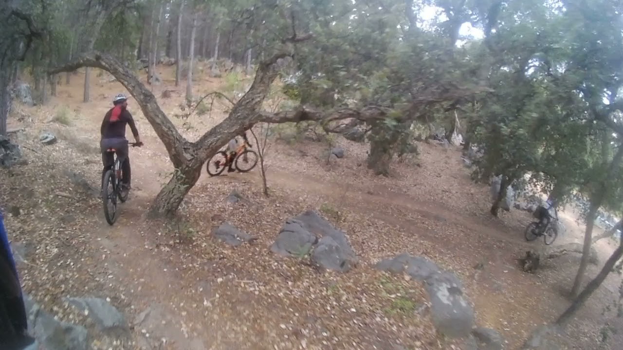 Wet mtb day in Newlands Forest and I fell off my bike.