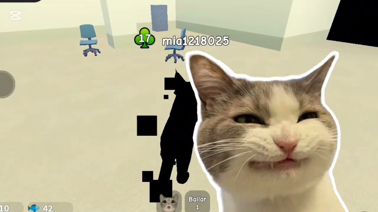 Cómo conseguir cómo conseguir el gato negro 🤍