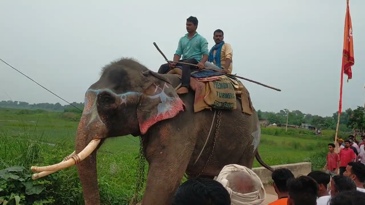 dumra bazar Siwan ka mela ka#video