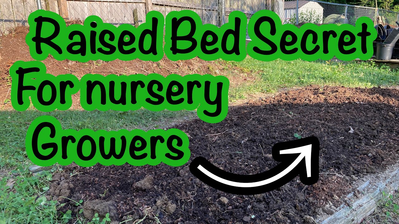 Making a raised bed for nursery plants  - Use this Trick to make success 1000x's easier! 🌲🌲