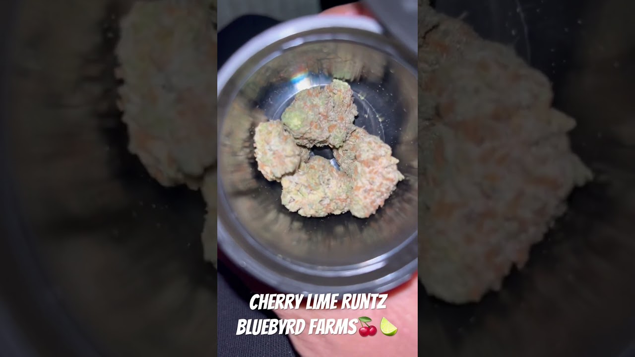 Cherry Lime Runtz 🍒🍋&zwj;🟩🔥 #medicalmarijuanapatient