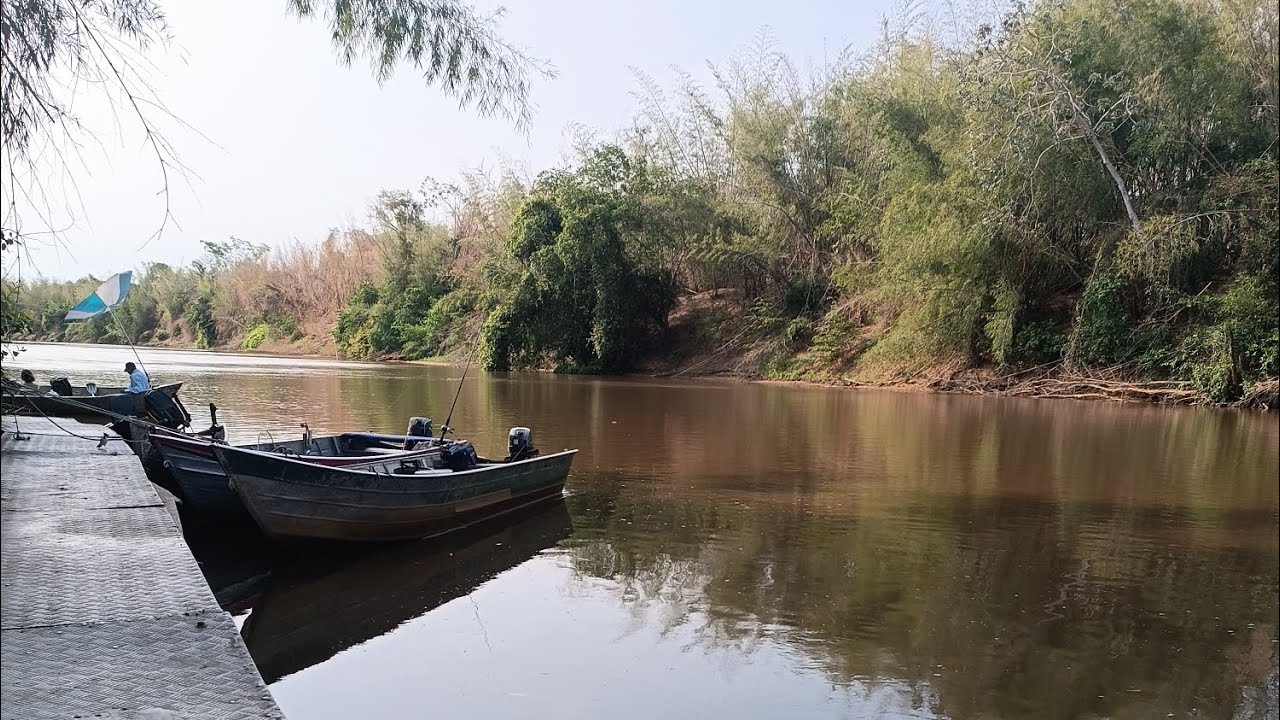 Pescaria Rio Miranda Km 21 - Pesqueiro tamo atoa (Parte I) 🎣🐆 #pescaria #pantanal #viralvideo 