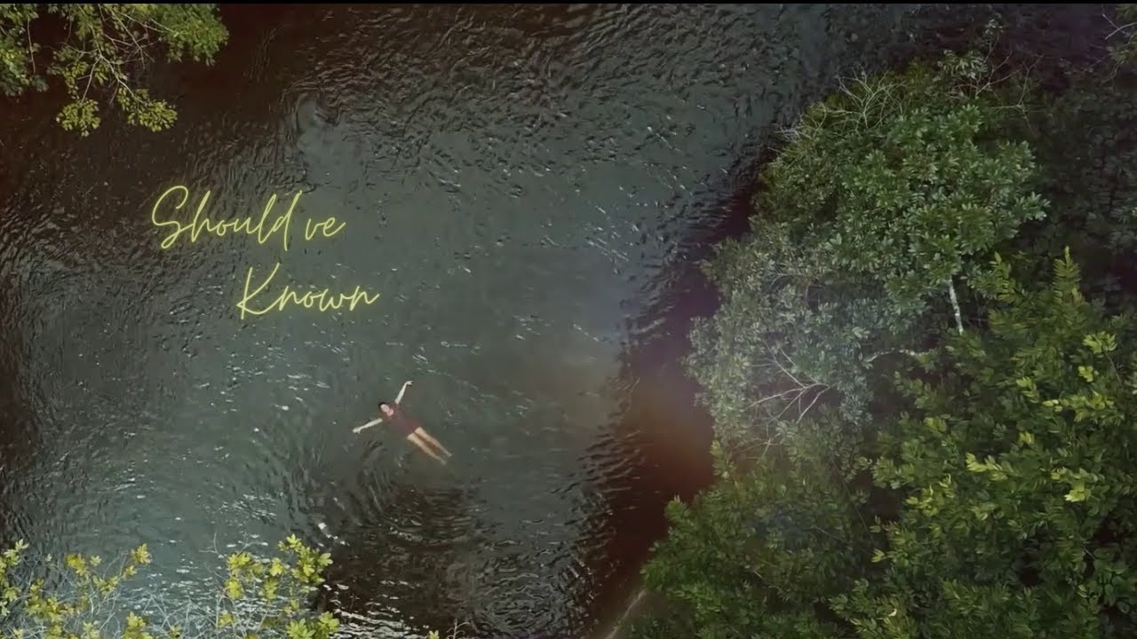 Should've Known - Daniela De Izcue (Visualizer)