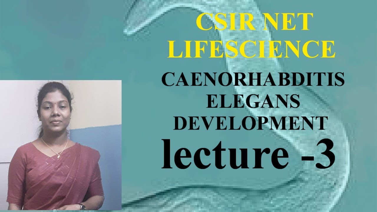 csirnetlifescience //c.elegans conditional specification