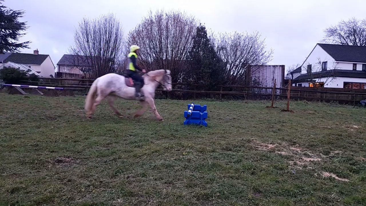 Janet Bradshaw Polly Jump Jan 26
