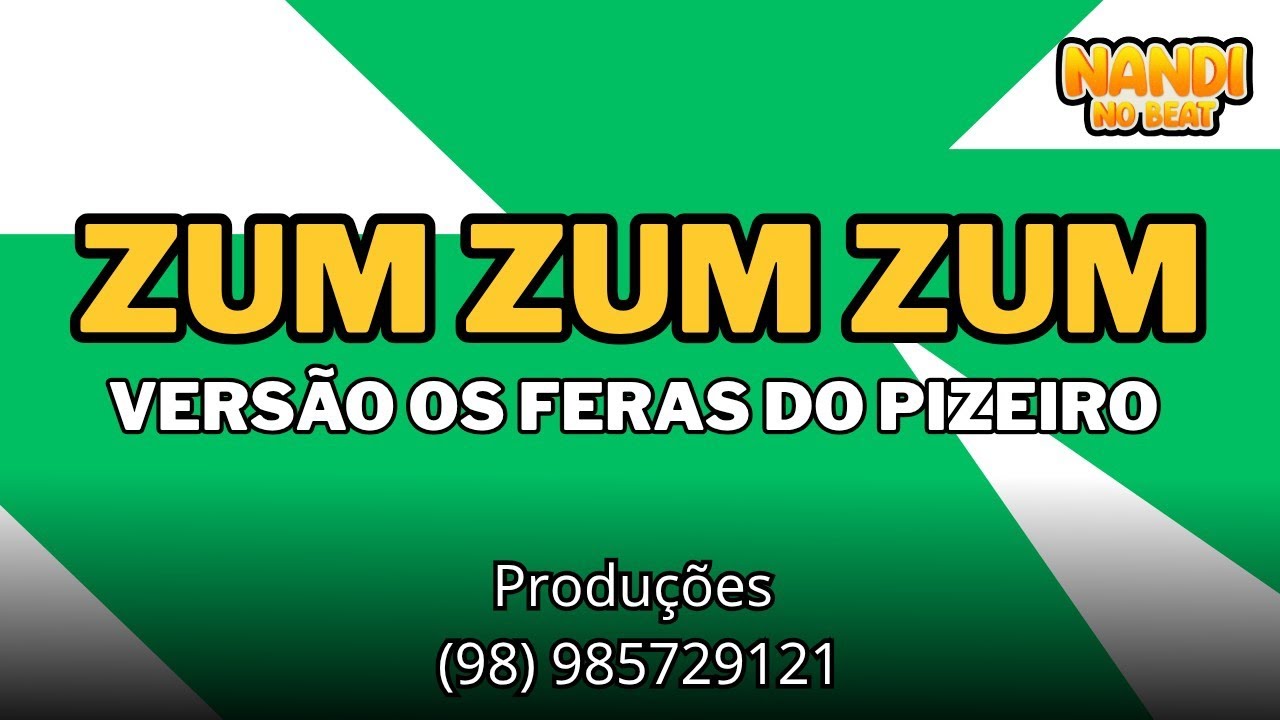PLAY BACK • ZUM ZUM ZUM •EU TÔ VOANDO • (VERSÃO) OS FERAS DO PIZEIRO 2025