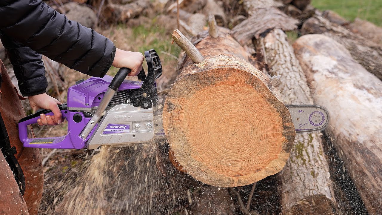 $113 Amazon Chainsaw - is it worth it? - PINKWAY