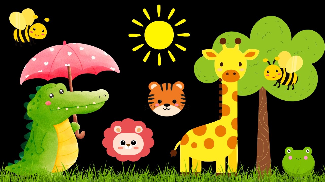 Baby Sensory Video - Newborn Visual Stimulation - Sensory Videos For Babies - Calm Music #baby