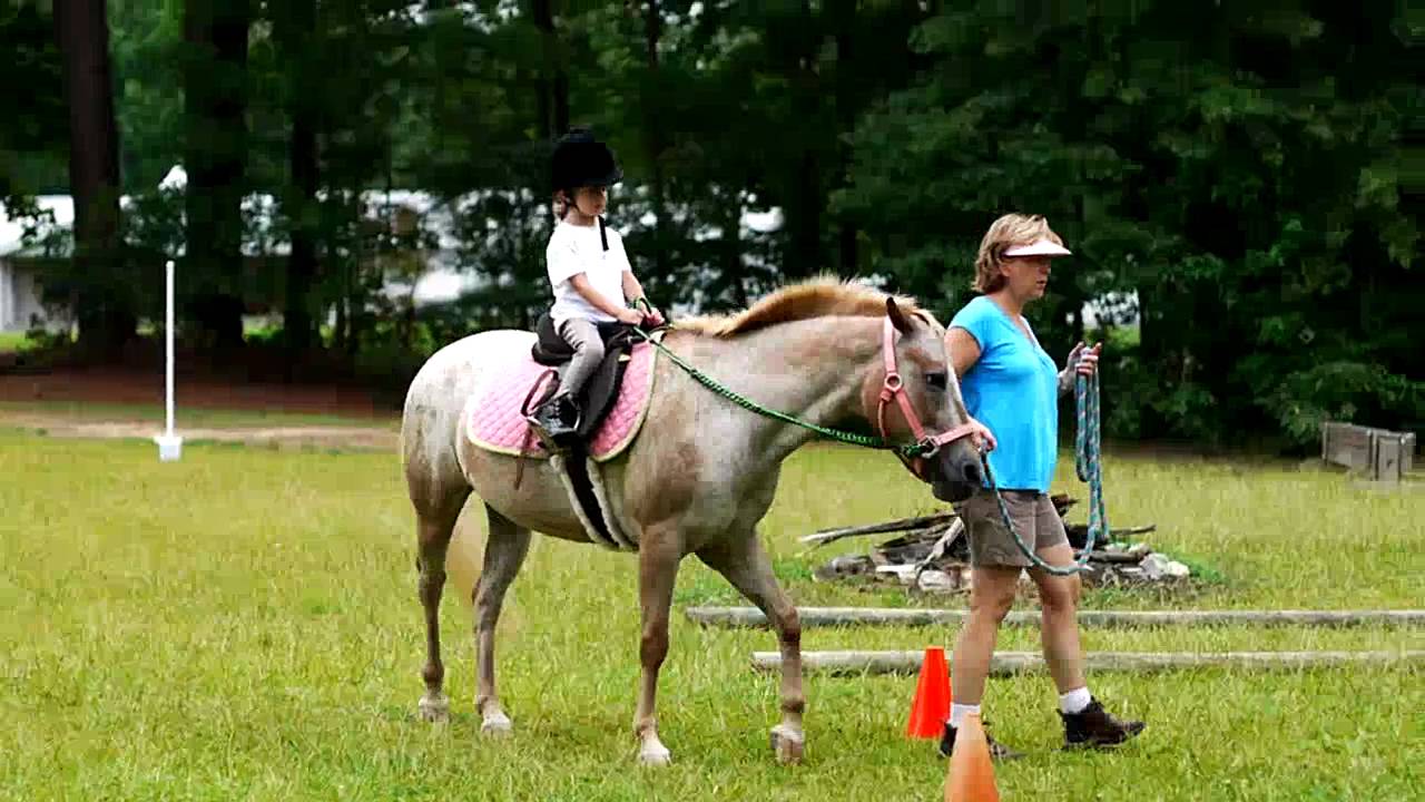 4 year old Girl at a Horse Riding Lesson