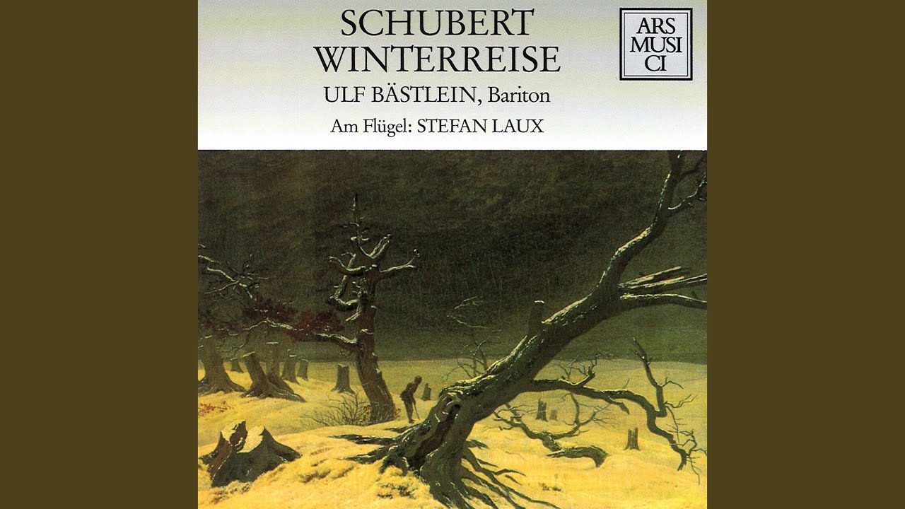 Winterreise D. 911, Op. 89: No. 6, Wasserflut
