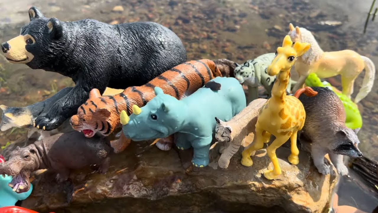 Zoo Animal Toys Adventure at the River | Fun & Educational Play for Kids