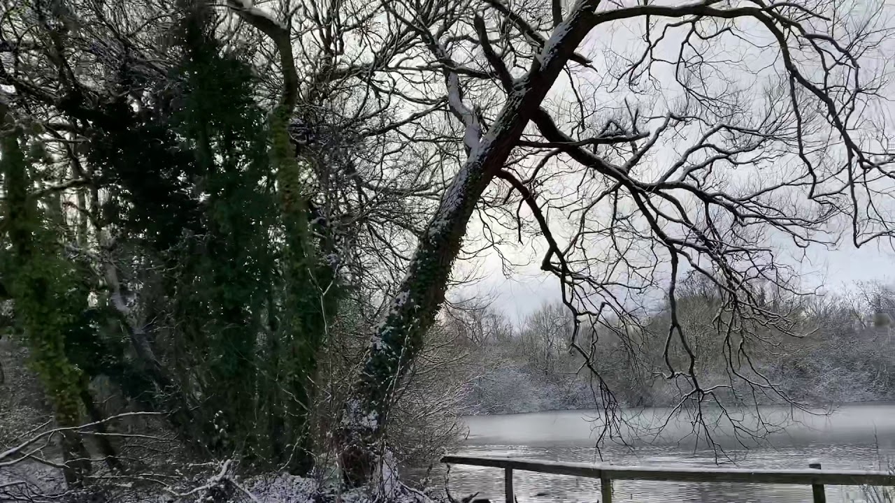rode hill fishery. Snow day carp fishing