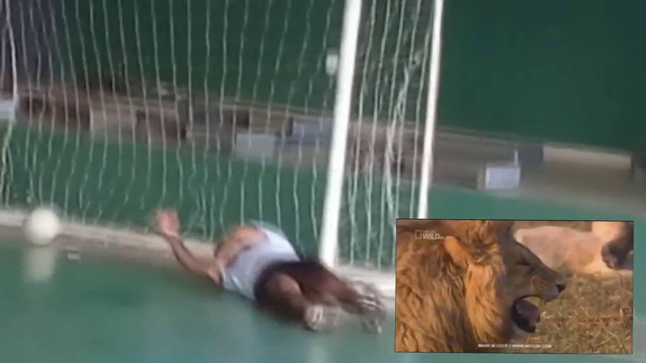 O frango